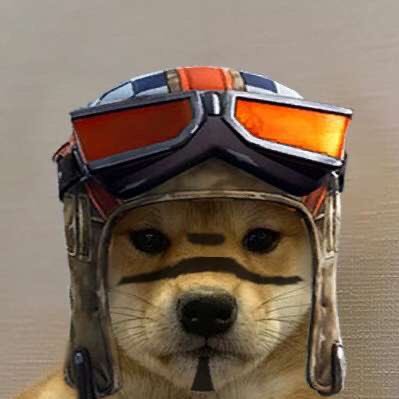 DylanFerlin's profile picture. 