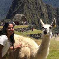 Priyanka (@pinks0903) 's Twitter Profile Photo Priyanka (@pinks0903) 's Twitter Profile Photo
