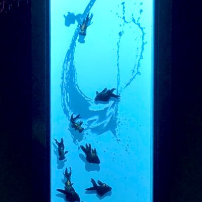 Fi_Fo_Li's profile picture. どうにかこうにかWeb業界でやってます