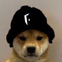 Freshify(@freshify) 's Twitter Profile Photo