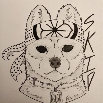 Unwantedskids's profile picture. Skid is the name, and Rocket League is the game.