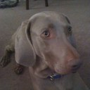 Erin Hardy - @ehardyrn - Twitter