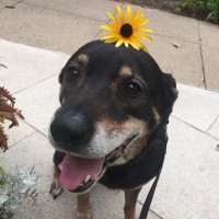Jack Rametta (@jtrametta) 's Twitter Profile
