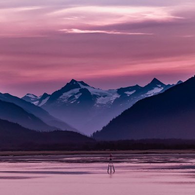 LauraA19701's profile picture. 