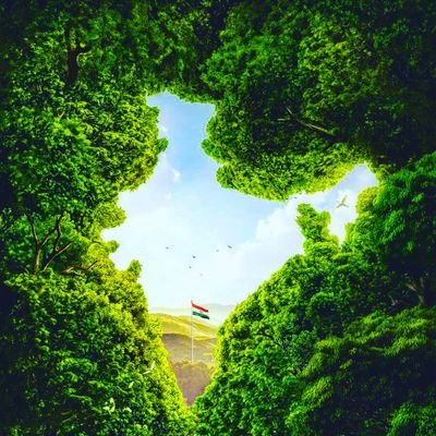 JaydipThummar03's profile picture. 💗💗Don't be too honest in the world because straight trees are always chosen first from cutting...💞💞