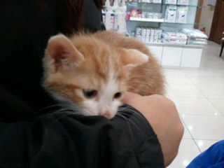 homin15's profile picture. 