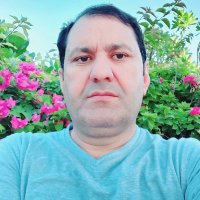 itbar Gul (@itbargul14) 's Twitter Profile