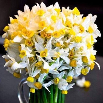 Peshraw03151174's profile picture. 