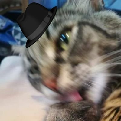 I do gfx sometimes....
just gonna leave this here https://t.co/iahIPdZUG6
