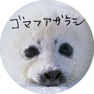 ゴマフアザラシさんのプロフィール画像