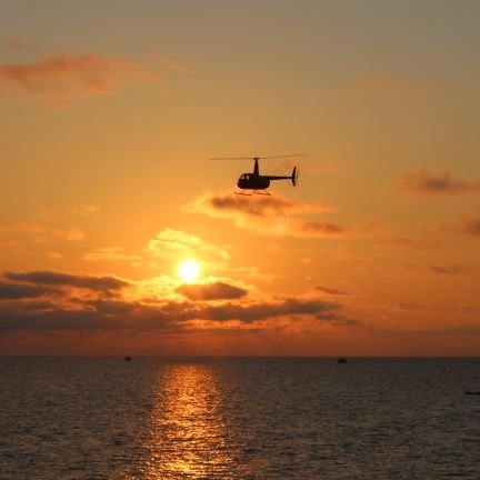 BlindFoal's profile picture. Buddhist. Vegetarian.