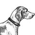 The Dog House Balham (@doghousebalham) Twitter profile photo The Dog House Balham (@doghousebalham) Twitter profile photo