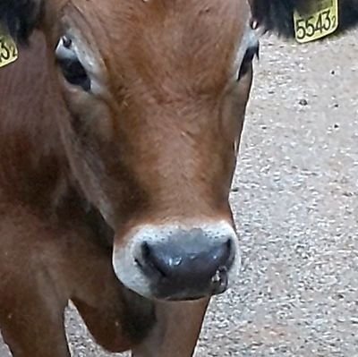 aiiiichandayo's profile picture. 遠回りなのかな？🕊️