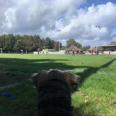 Rookie groundhopper in the New Forest. Saints and Bashley. Tuffey 17.09.06-14.06.21. My absolute everything 💔