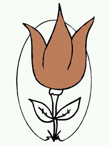 tulpbruno's profile picture. 