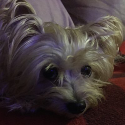 NKercu's profile picture. Self made millionaire