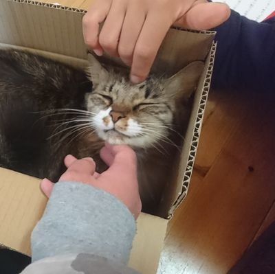 3hbVOfdH8Z1sYHh's profile picture. 三浦大知くんに生きる力もらってます😊無言フォローすみません🙇⤵️
2BRO💙♥💚