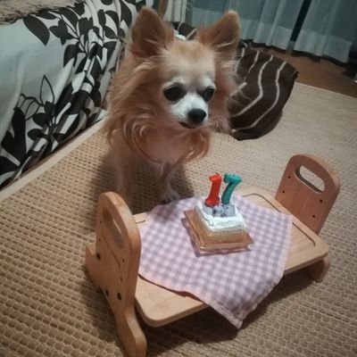 jickgunまなまなさんのプロフィール画像