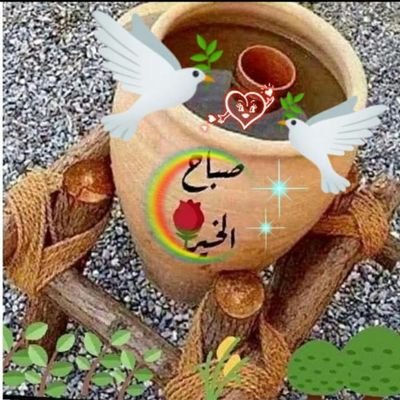 HggFvbv's profile picture. ابوحنان