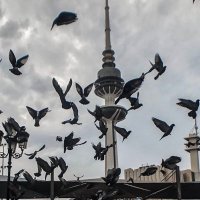 م / شــجـاع المــطيــري (@eng__shujaa) Twitter profile photo