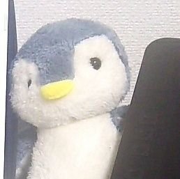 冷蔵庫さんのプロフィール画像