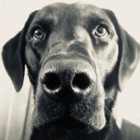 Hardie (@jhardie7) 's Twitter Profile
