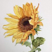 Esmita 💚🤍💜 (@esmita) 's Twitter Profile