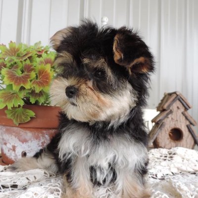 Jackson56084719's profile picture. Everything