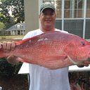jim payne - @jimpayn19291352 - Twitter