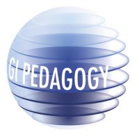 GI Pedagogy(@GIPedagogy) 's Twitter Profile Photo