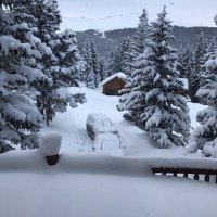 Paradise In The Snow (@skicabins) 's Twitter Profile