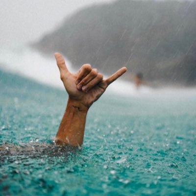 WindrunnerTS's profile picture. 