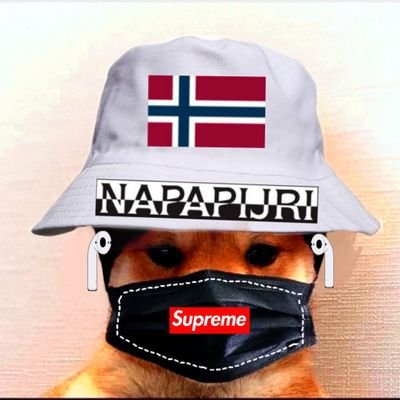 SnVladig Profile Picture