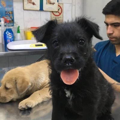 la_tu222's profile picture. Nadie entiende cuando hablo, por eso escribo.