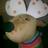 chillyrainbow's profile image