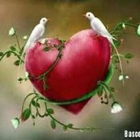 آمال (@yprtpcekze4ib8h) Twitter profile photo
