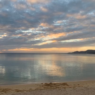 yasushiro3's profile picture. 