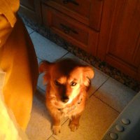 rocha4444 (@rocha4444) 's Twitter Profile Photo rocha4444 (@rocha4444) 's Twitter Profile Photo