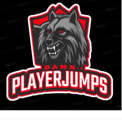 playerjumps's profile picture. keyboarder-⌨️🖱, YouTube-PlayerJumps