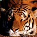 leonor vega - @para2ja - Twitter