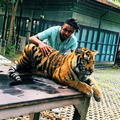 AJfeelinrockyy's profile picture. 