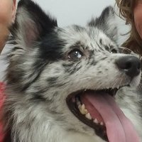 Asher Dasher (@asherdasher12) 's Twitter Profile