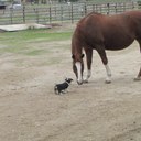 Vanessa Coyle - @CountryGirl0306 - Twitter