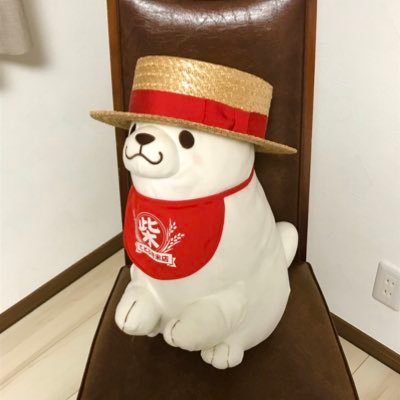 チョーノさんのプロフィール画像