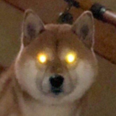 cs_fate's profile picture. Engineer. Purdue ME '23.