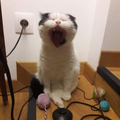 Vasseur58013916's profile picture. 