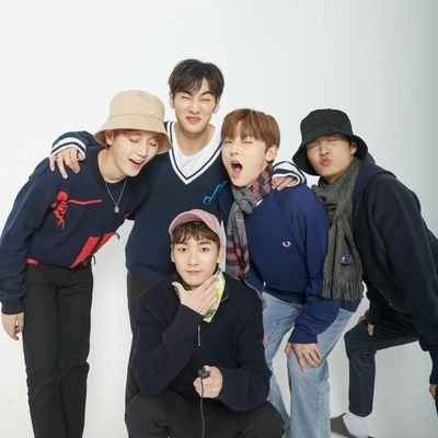 halotolongs's profile picture. 냥