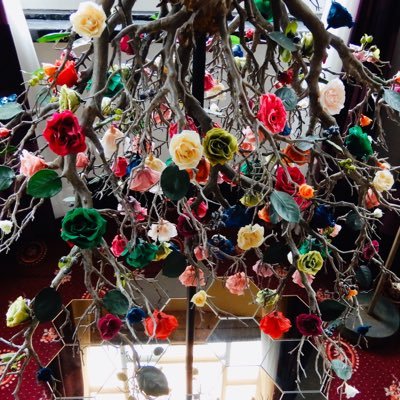 yuruku0110's profile picture. 男子新体操を応援したいです。