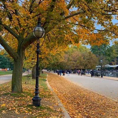 abozalecat1's profile picture. لا إِلَهَ إِلا أَنتَ سُبْحَانَكَ إِنِّي كُنتُ مِنَ الظَّالِمِينَ