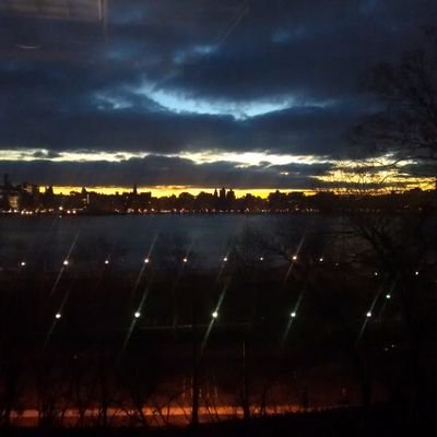 ywang57's profile picture. 